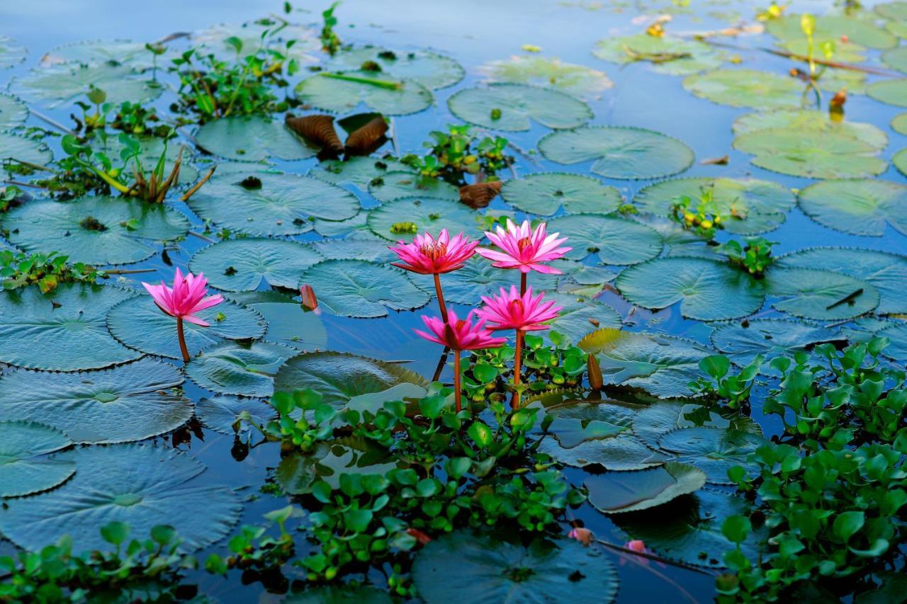 Triveny River Palace Hotel Alappuzha ภายนอก รูปภาพ